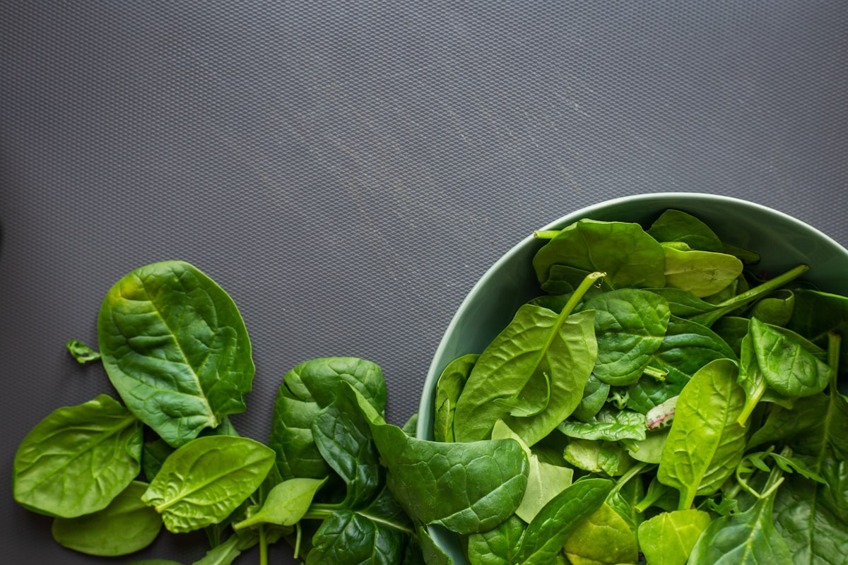 Curly kale leaves demonstrating nutrient density